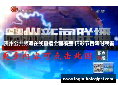 贵州公共频道在线直播全程覆盖 精彩节目随时观看